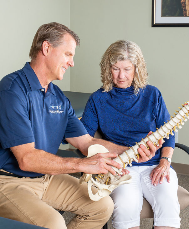 People looking at spine replica